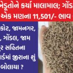 એક મણ જીરૂનો 11501 હજાર ભાવ