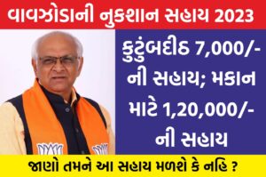 Government assistance