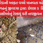 jivdaya trust 5 days to save the birds 475