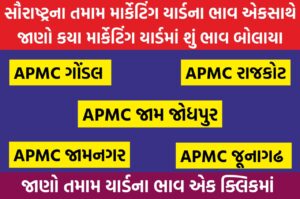 Market Yard Bajar Bhav