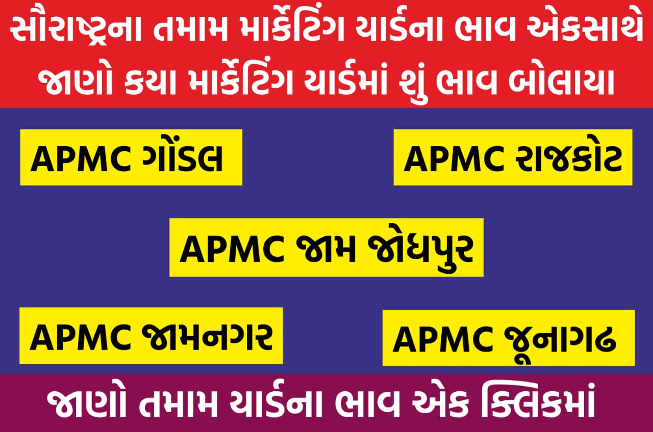 ગુજરાત માર્કેટ યાર્ડ ના ભાવ