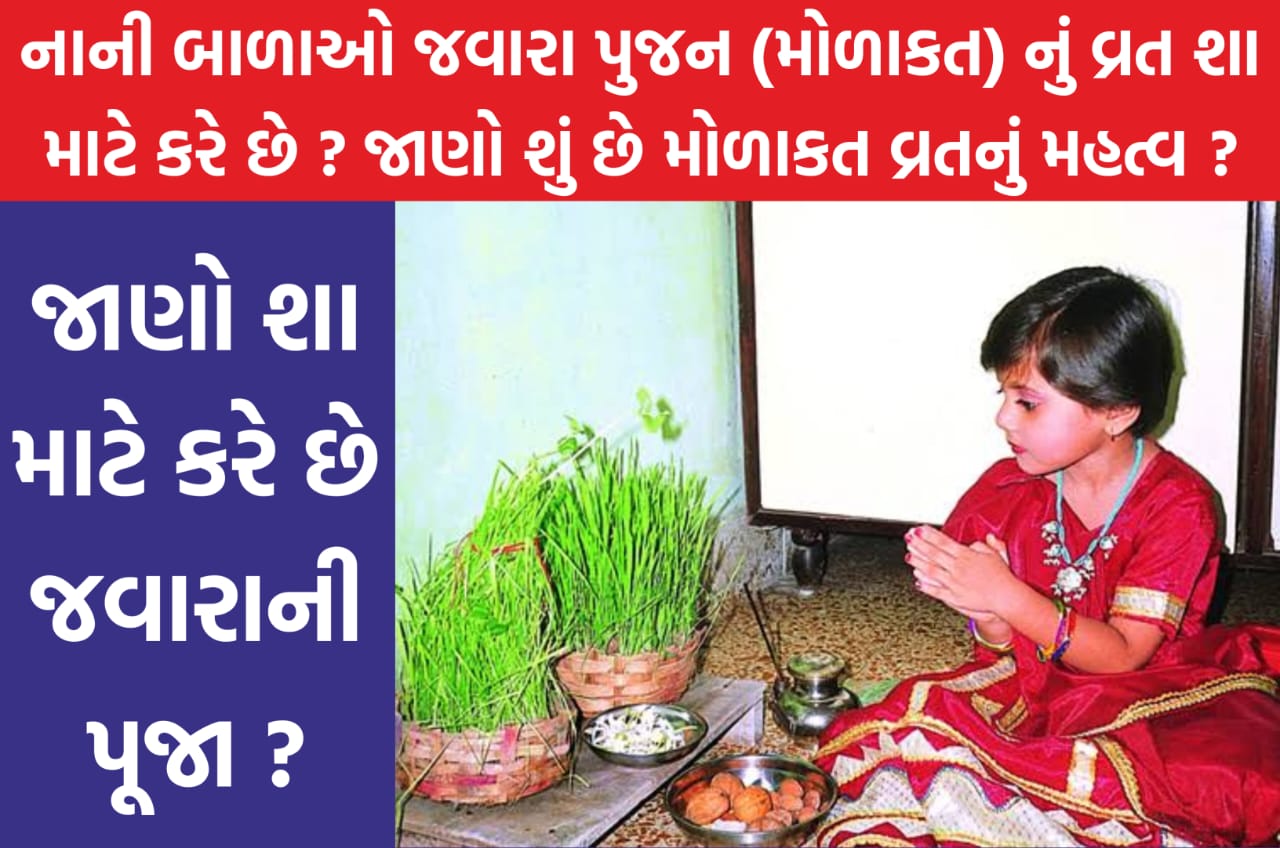 નાની બાળાઓ જવારા પુજન (મોળાકત) નું વ્રત શા માટે કરે છે