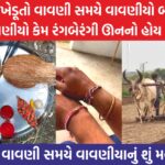 વાવણી પહેલા ખેડૂતો શા માટે વવણીયા બાંધે છે