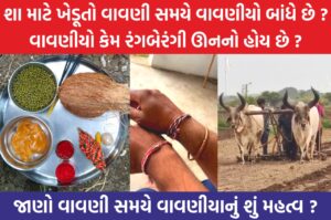 વાવણી પહેલા ખેડૂતો શા માટે વવણીયા બાંધે છે