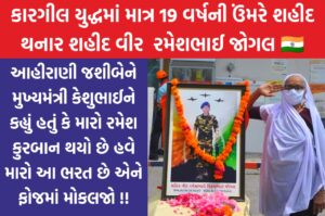 Vir Saput Rameshbhai Jogal