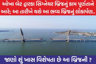 Signature Bridge