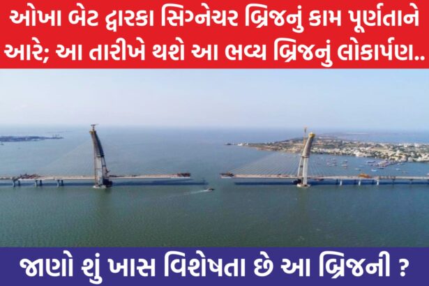 Signature Bridge