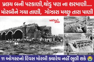 મચ્છુ દુર્ઘટના