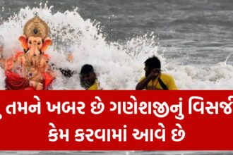 Ganesh Visarjan