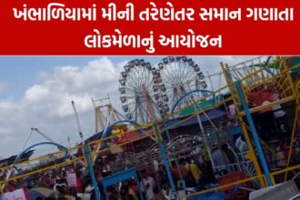 mini tarnetar tarike janitu khambhaliya