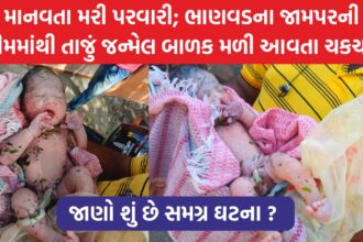 તાજું જન્મેલ બાળક