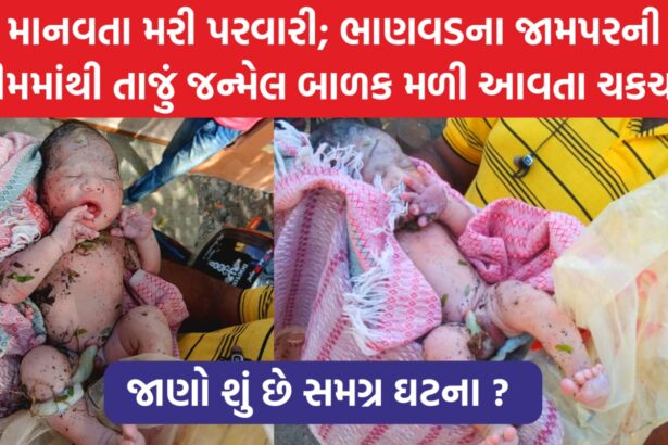તાજું જન્મેલ બાળક