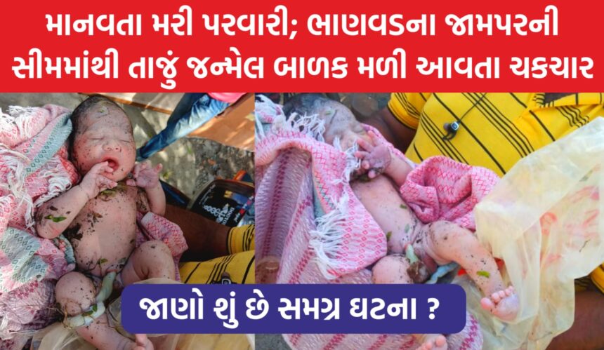 તાજું જન્મેલ બાળક